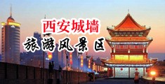 大黑鸡巴操日本小逼视频中国陕西-西安城墙旅游风景区